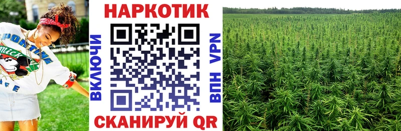Какие есть наркотики Змеиногорск Альфа ПВП Экстази Амфетамин Марихуана ГАШИШ